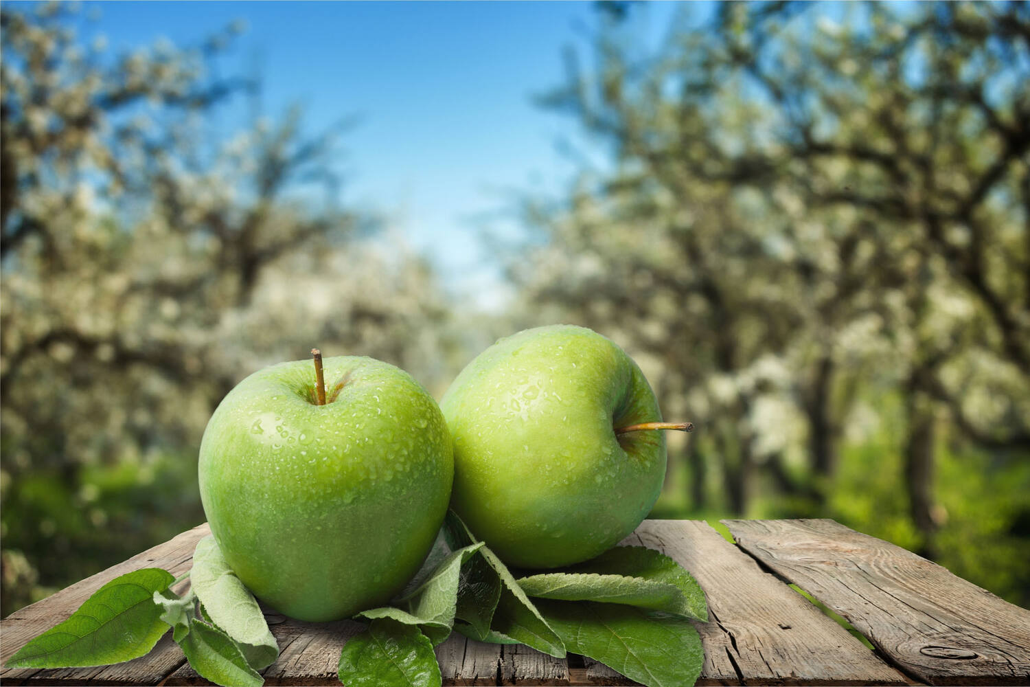 Granny Smith appels kist 13 kilogram